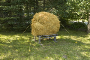 Pelote faux-foin, été 2014. Photo : Daniel Roussel